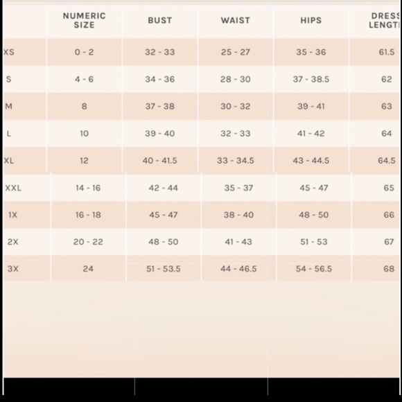 NWT Birdy Grey Dress LAURIE EMPIRE DRESS CHIFFON DUSTY BLUE Medium (Maternity) - Picture 6 of 7